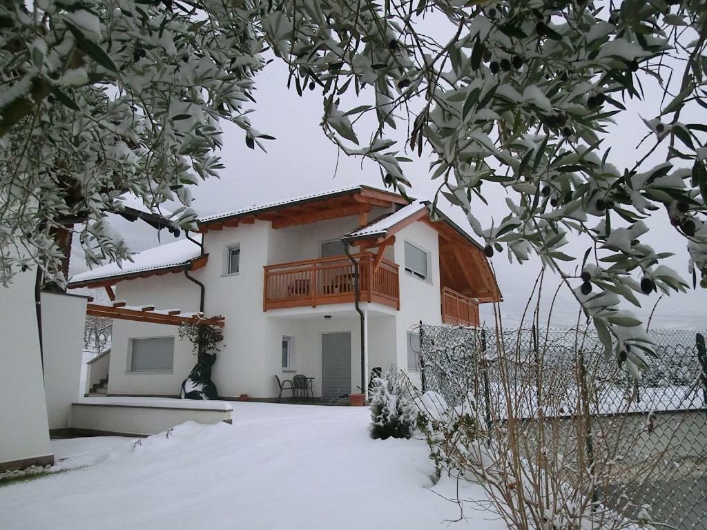 Unterstoan Hof Daire Termeno Dış mekan fotoğraf